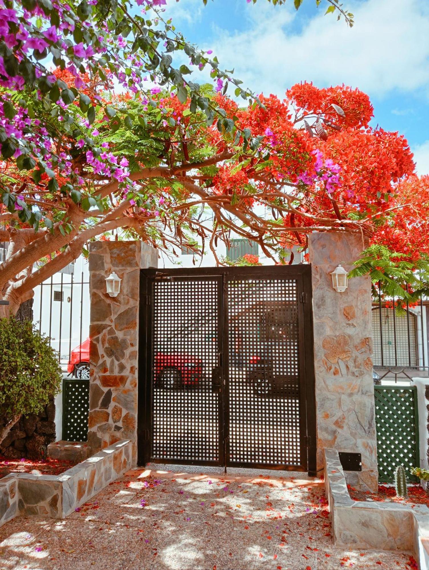Apartamentos Las Acacias Puerto del Carmen  Kültér fotó